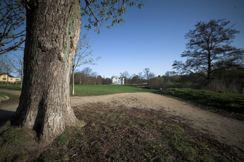 Объектив Samyang 14mm f/2.8 для Nikon